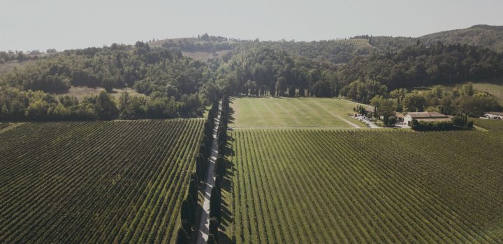 julia prestia venturini baldini lambrusco